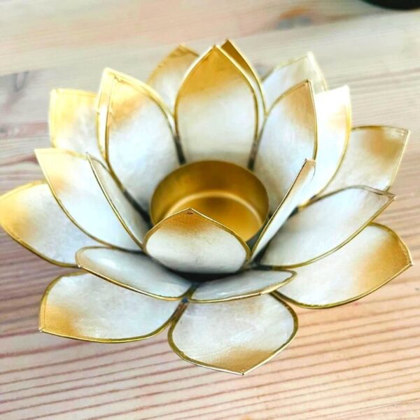 hvid-lotus