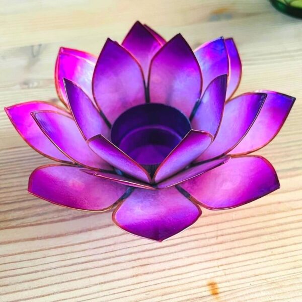 lilla-lotus