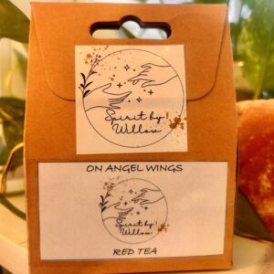 on angel wings te (1)