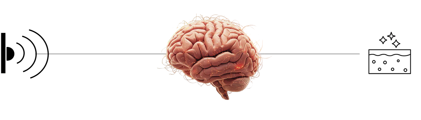 Ved Mindset Coaching hos Vinca har du mulighed for at høre mere om hvordan du bruger Biohacking sammen med coaching for at nå dine mål. Biohacking starter indefra.